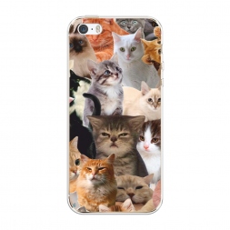 ����������� ����� ���� �� ����� �� iPhone 5/5S/SE