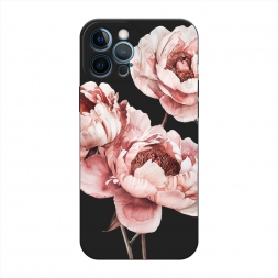 ������� ����������� ����� ����������� ������ �� iPhone 12 Pro Max