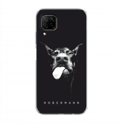 ����������� ����� ���� ��������� �� Huawei Nova 6 SE