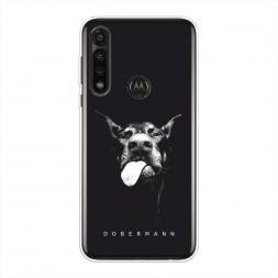 ����������� ����� ���� ��������� �� Motorola Moto G Power 2020