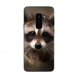 ����������� ����� ���� �� Samsung Galaxy S9 Plus