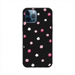 ������� ����������� ����� �������� �������� ������� �� iPhone 12 Pro
