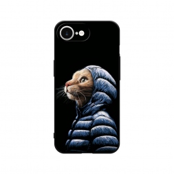 ������� ����������� ����� ��� � �������� �� iPhone 16e