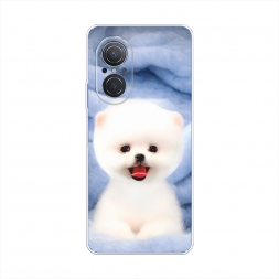 ����������� ����� ����� ���� �� Huawei Nova 9 SE