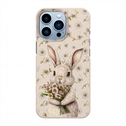  ����� � ������� �� iPhone 13 Pro