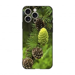 ������� ����������� ����� ��� 13 �� iPhone 16 Pro Max