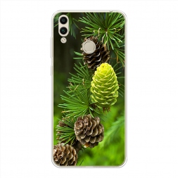 ����������� ����� ��� 13 �� Honor 8C