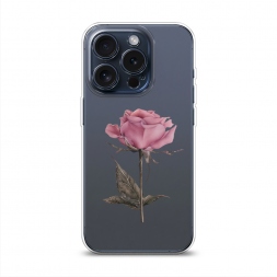 ����������� ����� ������������� ���� �� iPhone 15 Pro