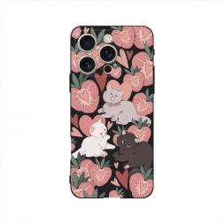 ������� ����������� ����� ���������� ������ �� iPhone 16 Pro