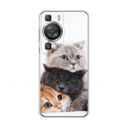 ����������� ����� �������� �������� �� Huawei P60
