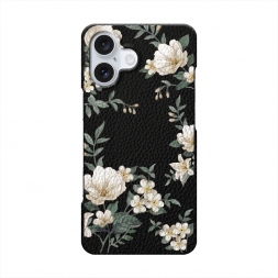  ������ ��������� ����� 1 �� iPhone 16 Plus