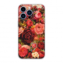 ����������� ����� ���� ��������� �� iPhone 13 Pro