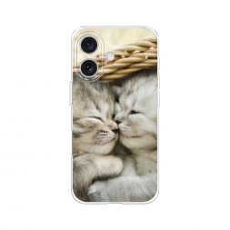 ����������� ����� ����� ������ �� iPhone 16