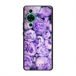 ������� ����������� ����� ����� ��������� �� Huawei Nova 11 Pro
