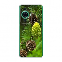 ����������� ����� ��� 13 �� Huawei Nova 11 Pro