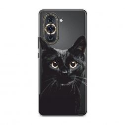 ����������� ����� ������ ��� 2 �� Huawei Nova 10 Pro