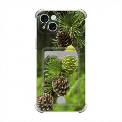  ��� 13 �� iPhone 15 Plus