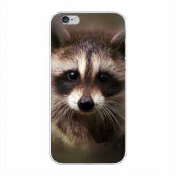����������� ����� ���� �� iPhone 6