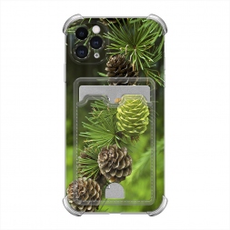  ��� 13 �� iPhone 11 Pro