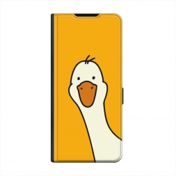  ���� �� ������ ���� �� iPhone 16 Plus
