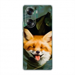 ����������� ����� ������� ���� �� Honor 60