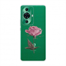 ����������� ����� ������������� ���� �� Huawei Nova 11 Pro