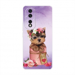 ����������� ����� ϸ��� ��� ���� �� Honor 80 Pro