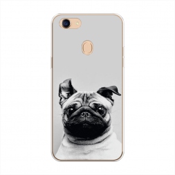 ����������� ����� ������� ���� �� Oppo F5