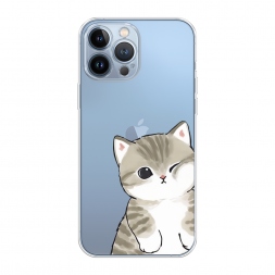 ����������� ����� ������ ����� �� iPhone 13 Pro Max