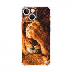 ����������� ����� ������� ���� �� iPhone 13 mini