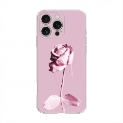 ����������� ����� ���� � ������ �� iPhone 16 Pro Max