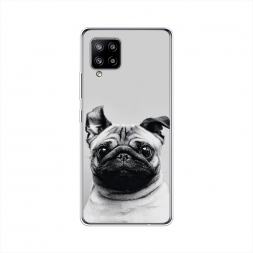 ����������� ����� ������� ���� �� Samsung Galaxy A42