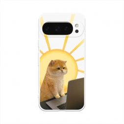  �������� �������� �� Google Pixel 10 Pro