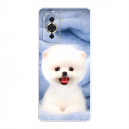 Силиконовый чехол Белый пёсик на Huawei Nova 10