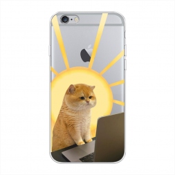 ����������� ����� �������� �������� �� iPhone 6