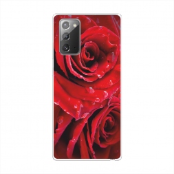 Силиконовый чехол Страстные розы на Samsung Galaxy Note 20