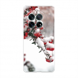 ����������� ����� ���� 8 �� OnePlus 12