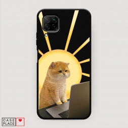 ������� ����������� ����� �������� �������� �� Huawei Nova 6 SE