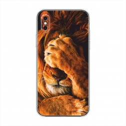 ����������� ����� ������� ���� �� iPhone XS Max (10S Max)