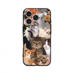 ������� ����������� ����� ���� �� ����� �� iPhone 17 Pro