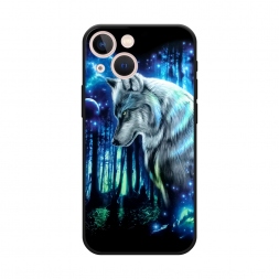 ������� ����������� ����� ��������� ���� �� iPhone 13 mini