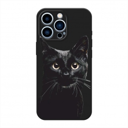 ������� ����������� ����� ������ ��� 2 �� iPhone 13 Pro