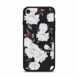 ������� ����������� ����� ��������� ��������� 2 �� iPhone SE 2020