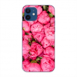 ����������� ����� ���������� ����� �� iPhone 12 Pro