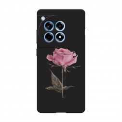 ������� ����������� ����� ������������� ���� �� OnePlus 12R