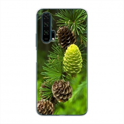 ����������� ����� ��� 13 �� Honor 20 Pro
