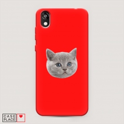 ������� ����������� ����� ����� ������ �� Honor 8S Prime