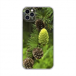����������� ����� ��� 13 �� iPhone 11 Pro Max