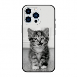 ������� ����������� ����� ������������� ������� �� iPhone 13 Pro