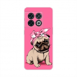 ����������� ����� Dog Pin-Up �� OnePlus 10 Pro